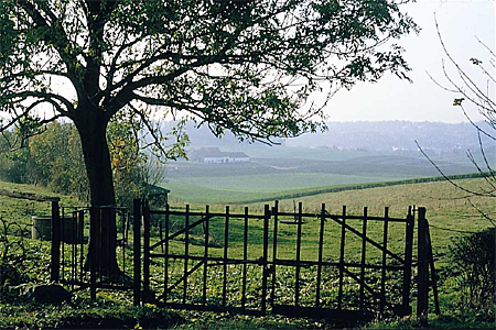 Nederlands Limburg